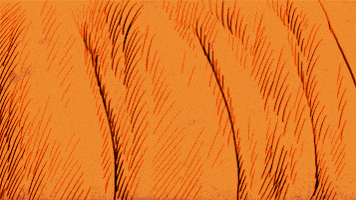 GIF by WASD Bookazine