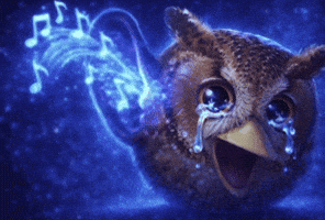 Angry Bird GIF