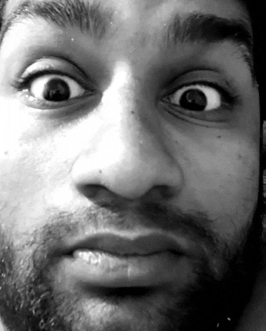 GIF by Language of liberty institute