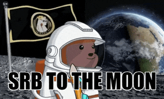 To The Moon Nft GIF by SuperRareBears
