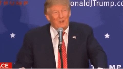 Donald Trump Laughing GIF - Find & Share on GIPHY
