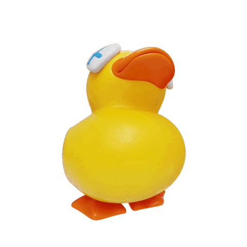 Duck Knocking Sticker