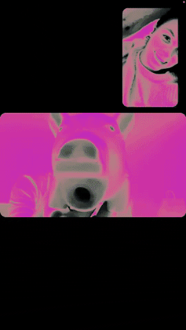 Tomasz GIF