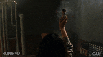 Cleansing Tv Show GIF by CW Kung Fu