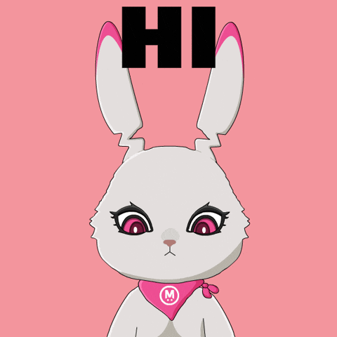 Bunny Hello GIF by Fluffey
