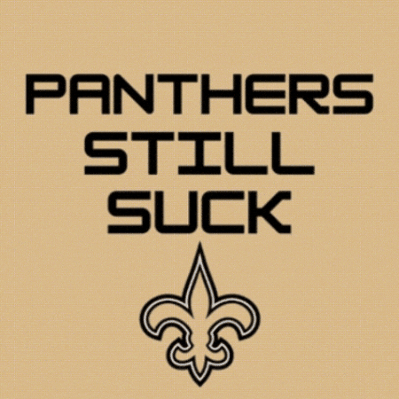 Panthers Saints GIF
