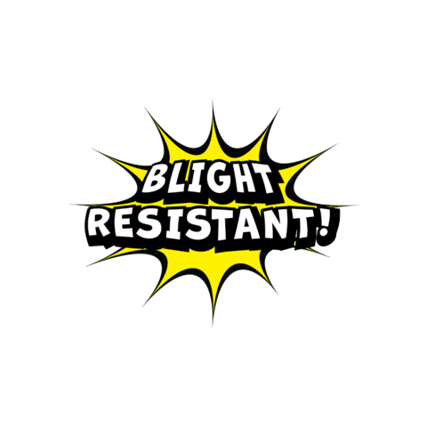 Better Boxwood Sticker