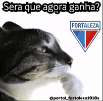 Portalfortaleza1918S GIF