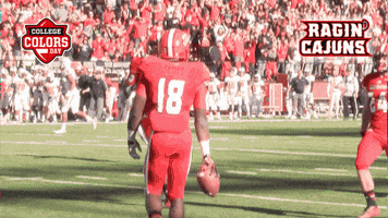 College Sports Touchdown GIF by College Colors Day