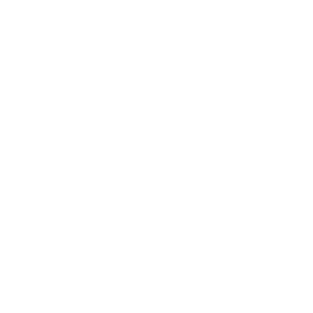 Insano Army Sticker
