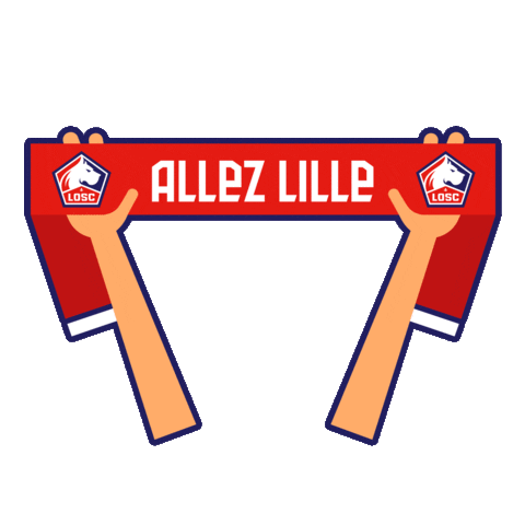 Ligue 1 Football Sticker by LOSC