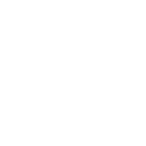 MeesvandenBrink Sticker