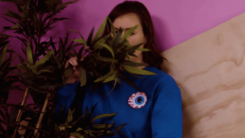 Mamrie Hart Hiding GIF by This Might Get - Find & Share on GIPHY