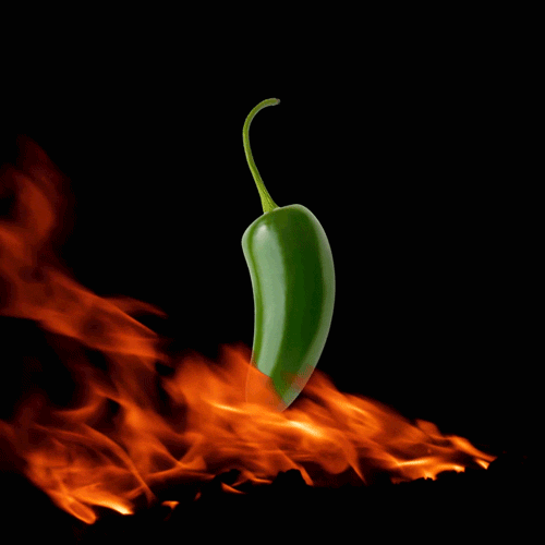 Jalapenos GIFs - Find & Share on GIPHY