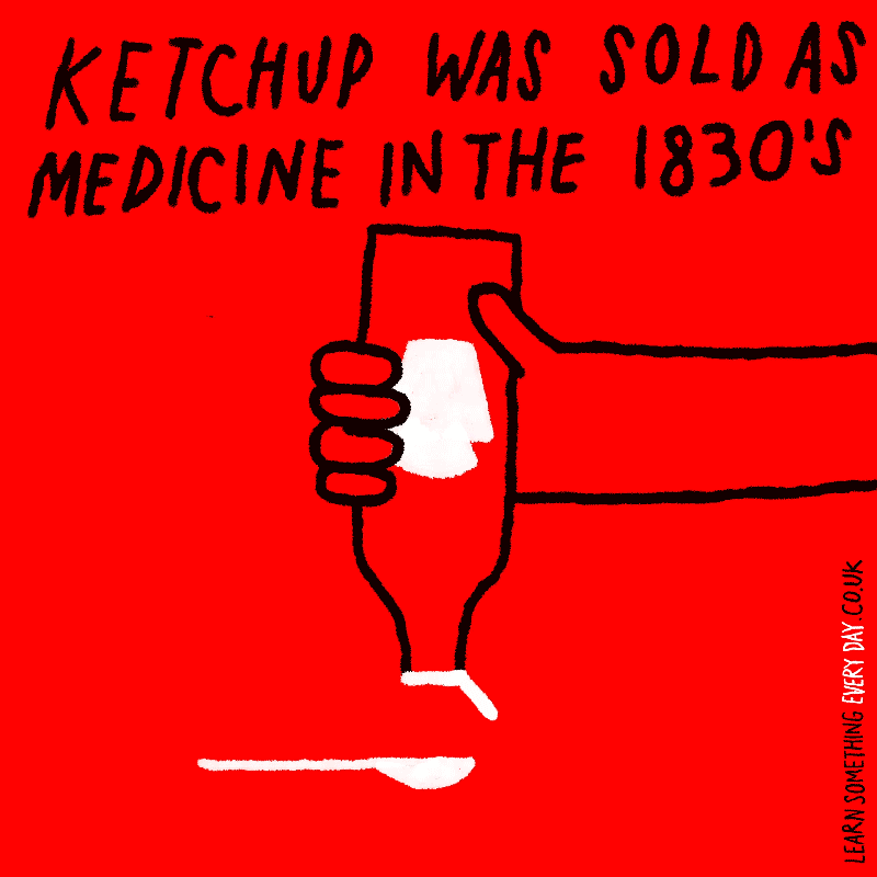 Medicine Wtf GIF by Learn Something Every Day Find & Share on GIPHY