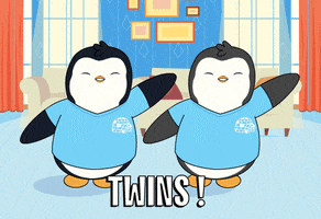 Penguin Twinning GIF by Pudgy Penguins