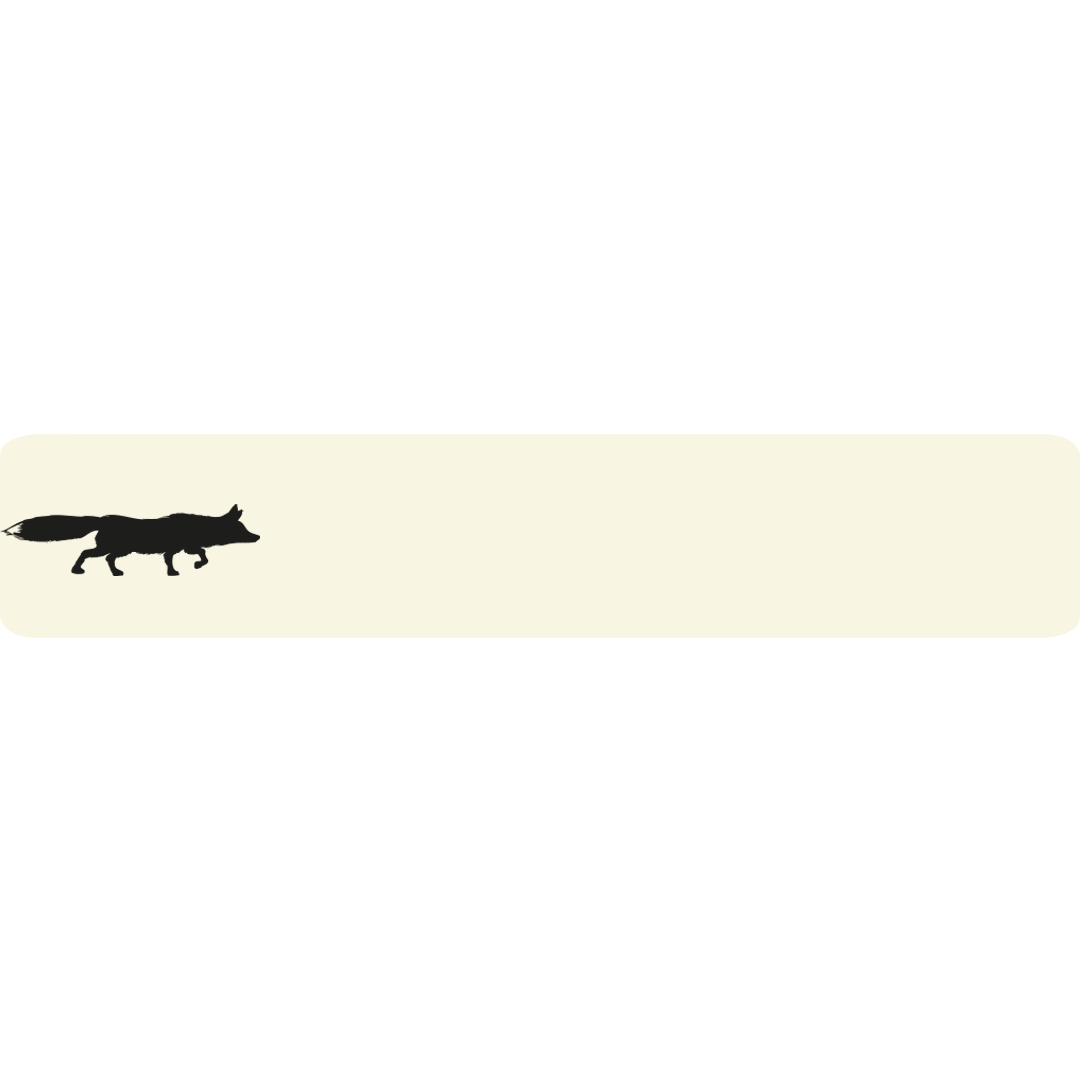 Cider Fuchs Sticker by Stibitzer