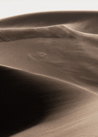 Ds8 Desert Storm Gifs Get The Best Gif On Giphy
