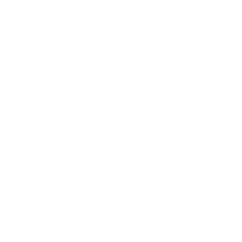 The Rebbe's Choice Sticker