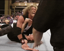 Edgepinons2006 GIF