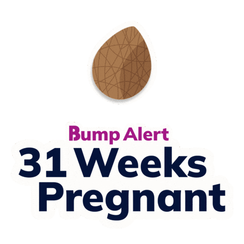 Pregnancy Expecting Sticker by The Bump