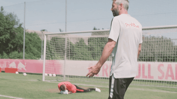 marco rose no GIF by FC Red Bull Salzburg