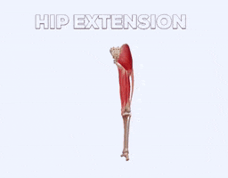 Get In Shape GIF