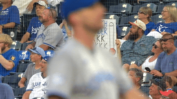 Blue Jays Baseball GIF by Toronto Blue Jays