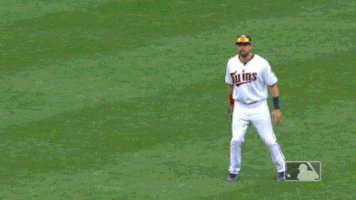 celebration outfield GIF by MLB