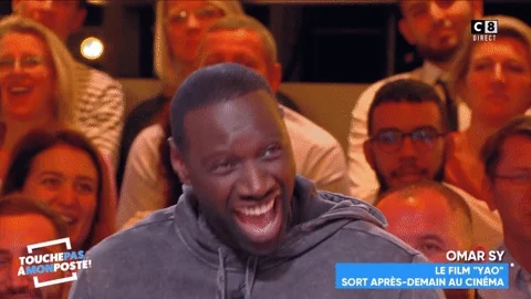 touche pas a mon poste lol GIF by C8