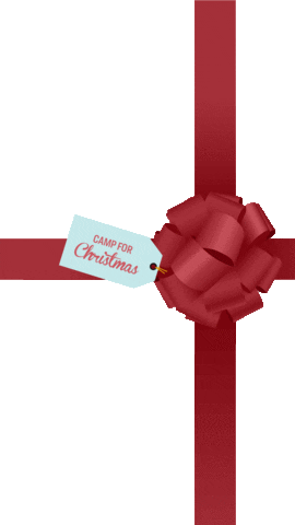 Camp Kstn Sticker by Keystone Students