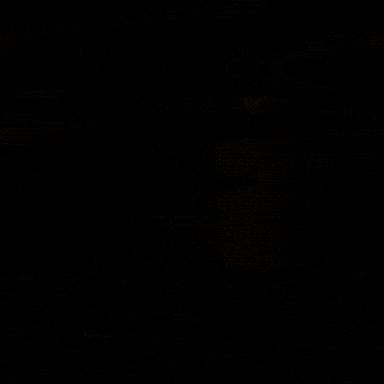 Single Malt Alcohol GIF