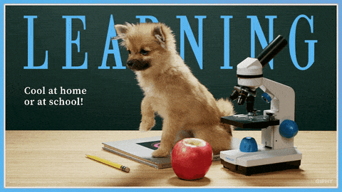 Learning Learn GIF by Originals - Find & Share on GIPHY