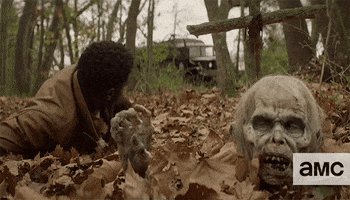 The Walking Dead Zombies GIF by AMC Latinoamérica