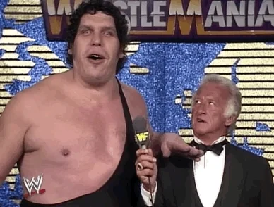 andre the giant wrestling GIF by WWE