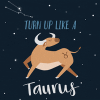 evite-turn-up-taurus-1yN5TDiyzMcW8b9ESU
