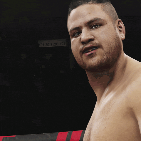 ufc 3 fight GIF by EA SPORTS UFC