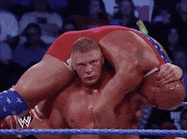 brock lesnar sport GIF by WWE