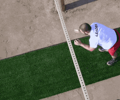 200.gif?cid=fc005b089ea64c29b9e42c18238696b4bff1a5a487325598&rid=200.gif&ct=g