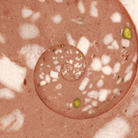 food-white-fat-1ykiISJcyvfDyaMlga