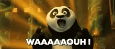Kung Fu Panda Wow Gif