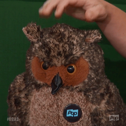 bbad GIF by Big Brother After Dark