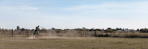 Xtian Du Gard Gardian GIF