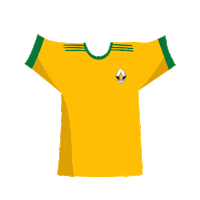 Copa Do Mundo Futebol Sticker by Plano&Plano for iOS & Android
