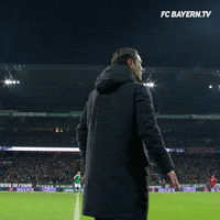 200.gif?cid=fc005b08f17ba0191c1bb40f2e7fab43a6b22a183ef5ed28&rid=200.gif&ct=g