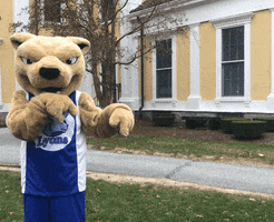 college mascot GIF by Wheaton College (MA)