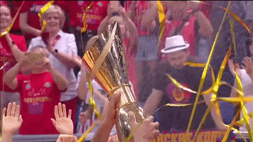 cup champion GIF by CSKA Moscow