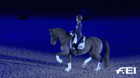 giphy.gif?cid=4d1e4f2987d3a9e5ea4ebc9382