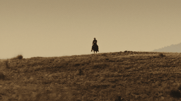 Horseback Riding Horse GIF by Midland