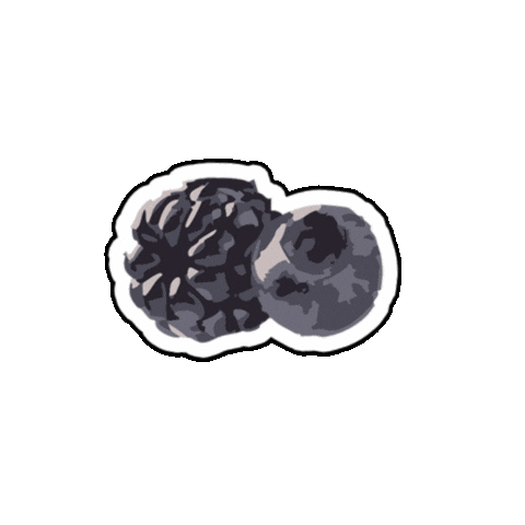 Cheers Fruit Sticker by Extremo Wines